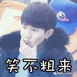 颜值巅峰表情包