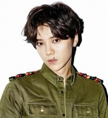 鹿晗红色家庭背景,鹿晗的红色家庭背景揭秘