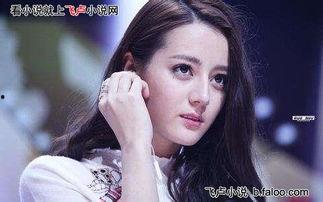 有迪丽热巴的娱乐小说,娱乐界的璀璨星辰