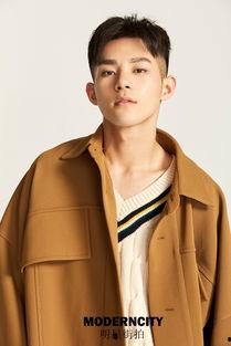 ty 明星,揭秘ty明星的闪耀人生